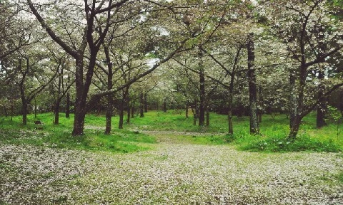 C360_2016-04-07-12-00-18-780.jpg?type=w773