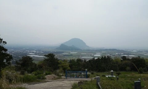 20160420_1151087.jpg?type=w773