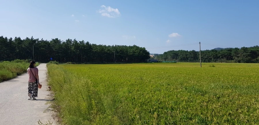 1599230603524.jpg?type=w1