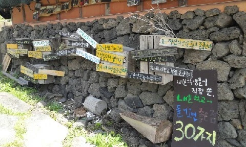 20160415_1308436.jpg?type=w773