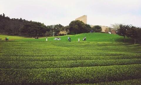 C360_2016-04-07-15-40-19-420.jpg?type=w773