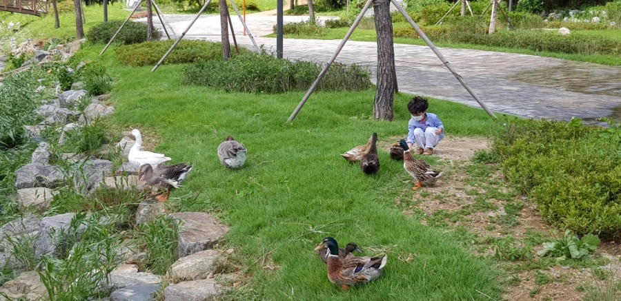 1599230412361.jpg?type=w1