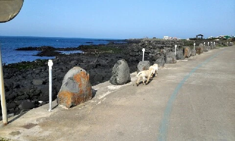 C360_2016-04-08-15-55-02-411.jpg?type=w773