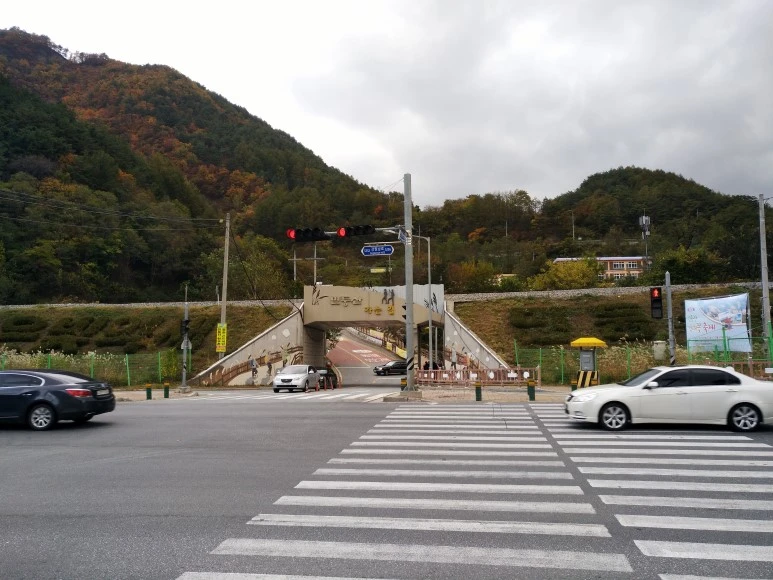 IMG_20171022_101147.jpg?type=w773