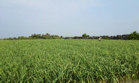 20160420_1013259.jpg?type=w773