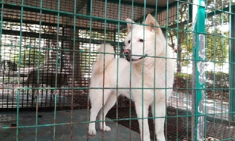 20160414_1348276.jpg?type=w773