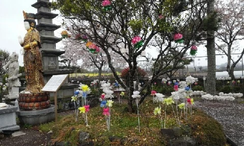 20160406_1624473.jpg?type=w773