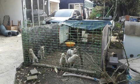 20160415_0842321.jpg?type=w773