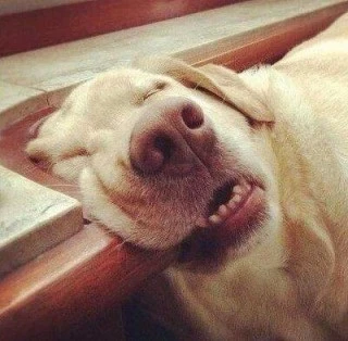 20140803014542_celo4ZRt_EAB09CED94BCEAB3A41.jpg?type=w773