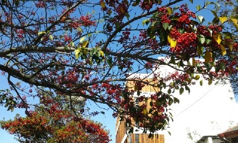 20160417_0927542.jpg?type=w773