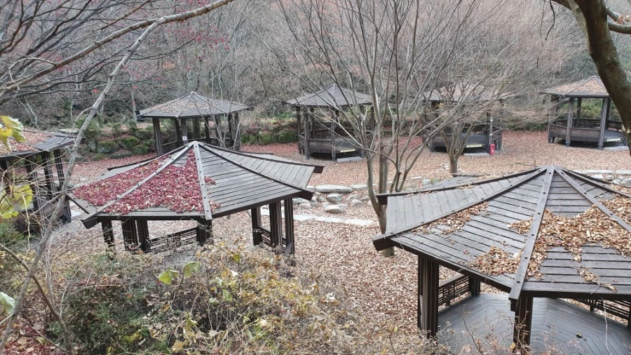 1604840420468%25EF%25BC%258D5.jpg?type=w1