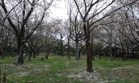 20160406_0806038.jpg?type=w2