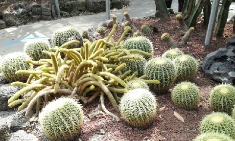 20160414_1350122.jpg?type=w773