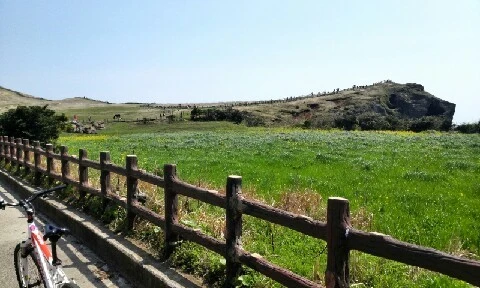 C360_2016-04-08-13-50-32-903.jpg?type=w773