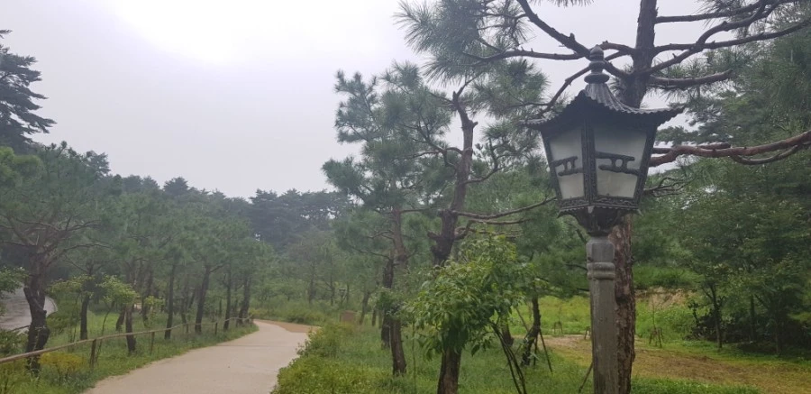 1599230195914.jpg?type=w1