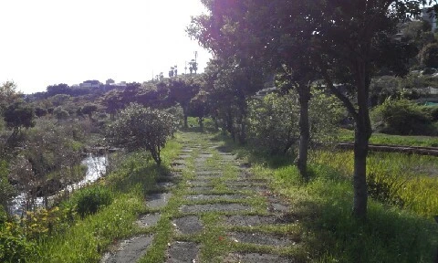 20160418_1631582.jpg?type=w773