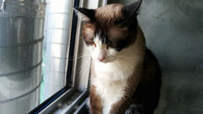 IMG_20170603_183910.jpg?type=w773