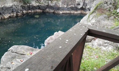 20160405_1717341.jpg?type=w773