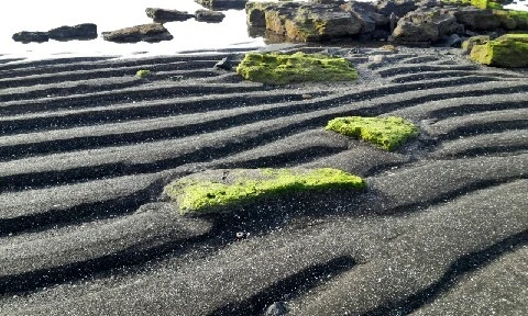 C360_2016-04-09-07-34-12-433.jpg?type=w773