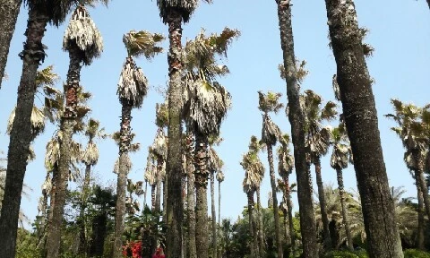 20160414_1356028.jpg?type=w773