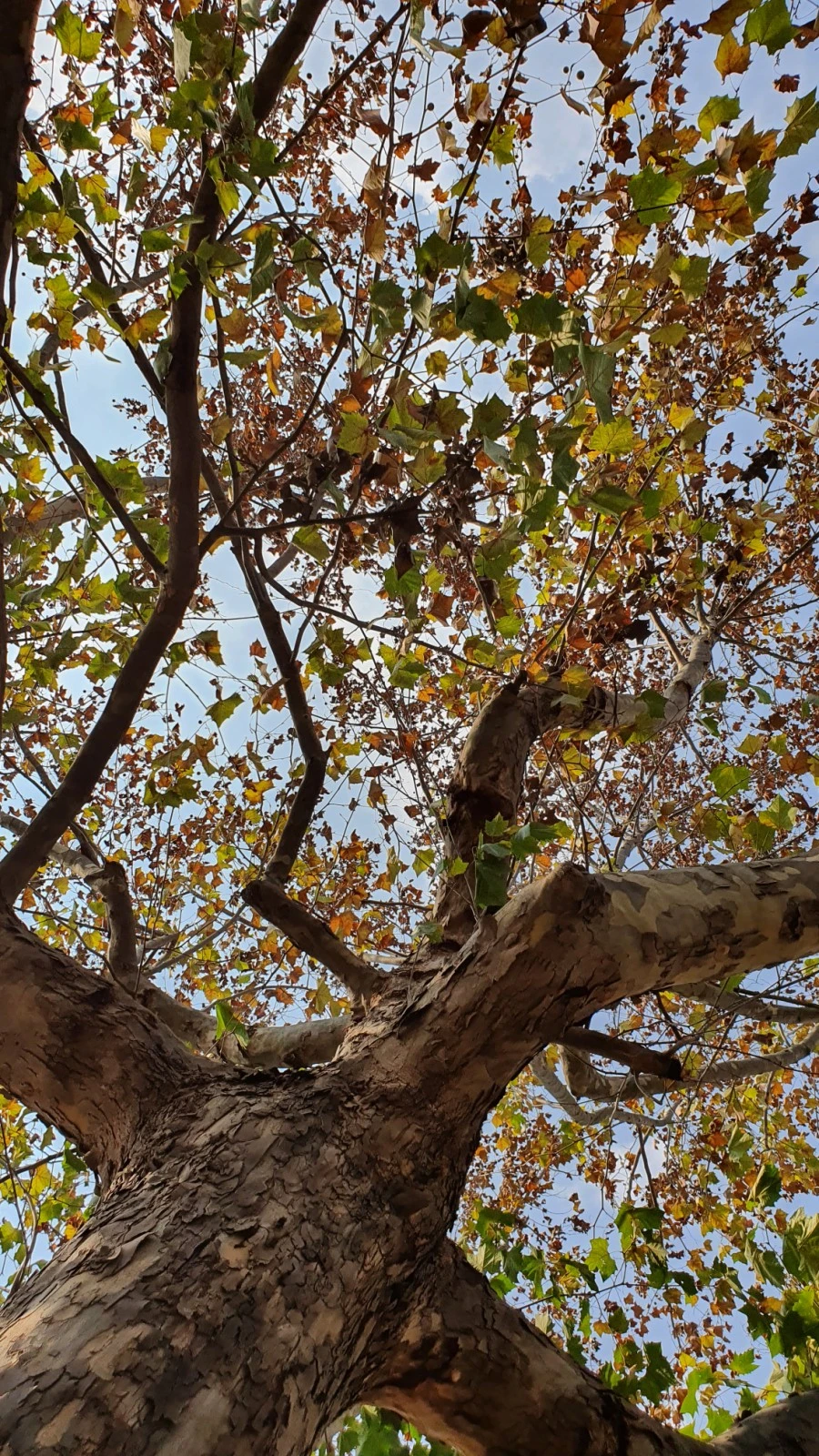 1604748023960%25EF%25BC%258D1.jpg?type=w1