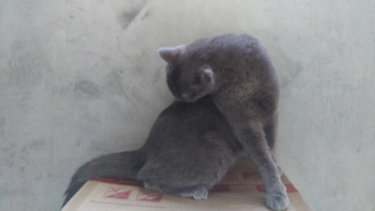 IMG_20170603_181123.jpg?type=w773