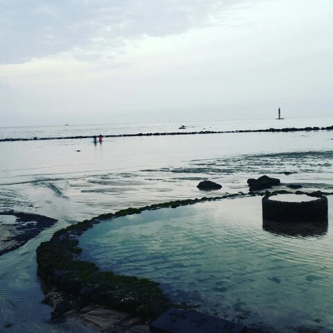 IMG_20160405_185419.jpg?type=w773