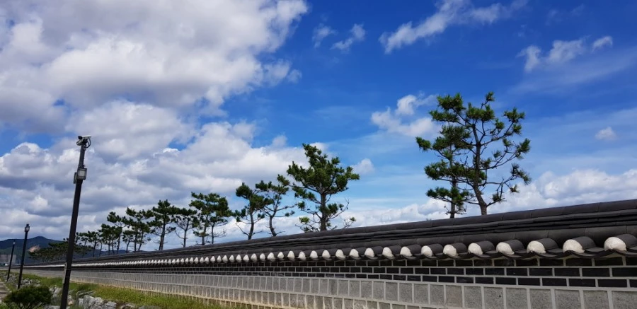 1599230410983.jpg?type=w1