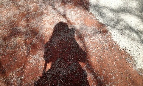 C360_2016-04-08-10-23-41-867.jpg?type=w773