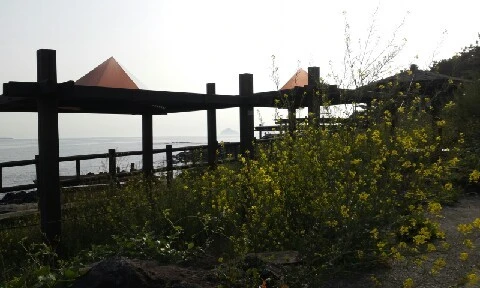 20160414_1703398.jpg?type=w773