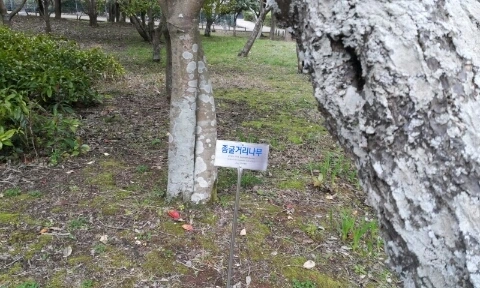 20160406_0809549.jpg?type=w2