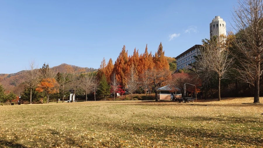 1604840420468%25EF%25BC%258D12.jpg?type=w1