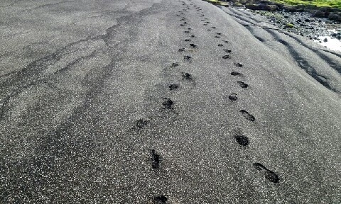 C360_2016-04-09-07-37-15-241.jpg?type=w773