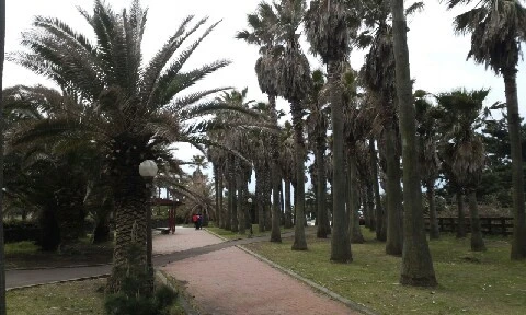 20160418_1008594.jpg?type=w773