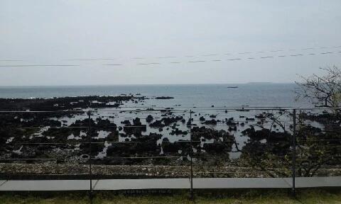 20160415_1141168.jpg?type=w773