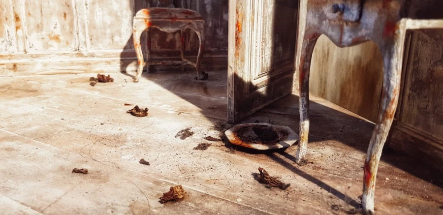 1594482621901.jpeg?type=w1