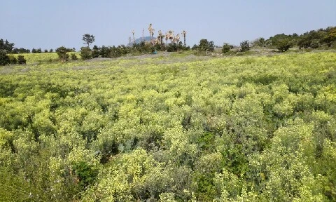 20160419_1001204.jpg?type=w773