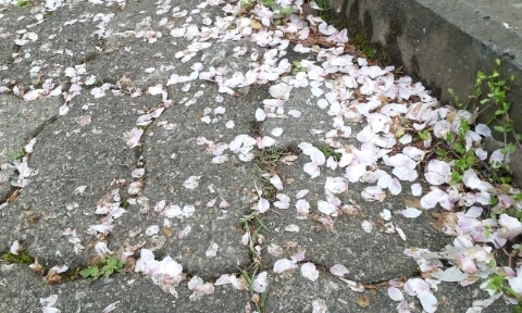 20160406_0801064.jpg?type=w2