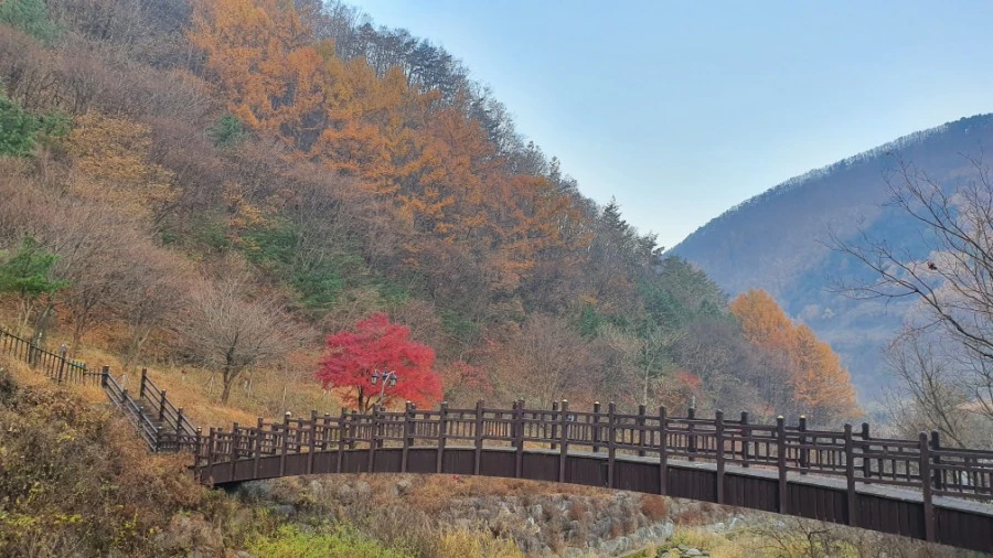 1604840394690.jpg?type=w1