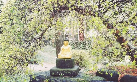 C360_2016-04-07-11-41-08-005.jpg?type=w773