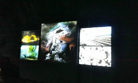 C360_2016-04-09-12-11-53-859.jpg?type=w773