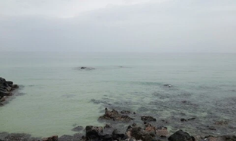 20160406_1534052.jpg?type=w773