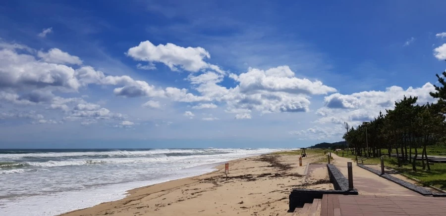 1599230405174.jpg?type=w1