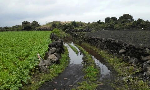 20160413_1115177.jpg?type=w773