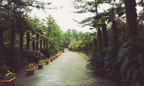 C360_2016-04-07-11-57-05-445.jpg?type=w773