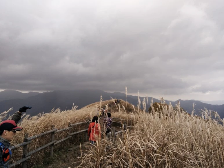 IMG_20171022_120237.jpg?type=w773