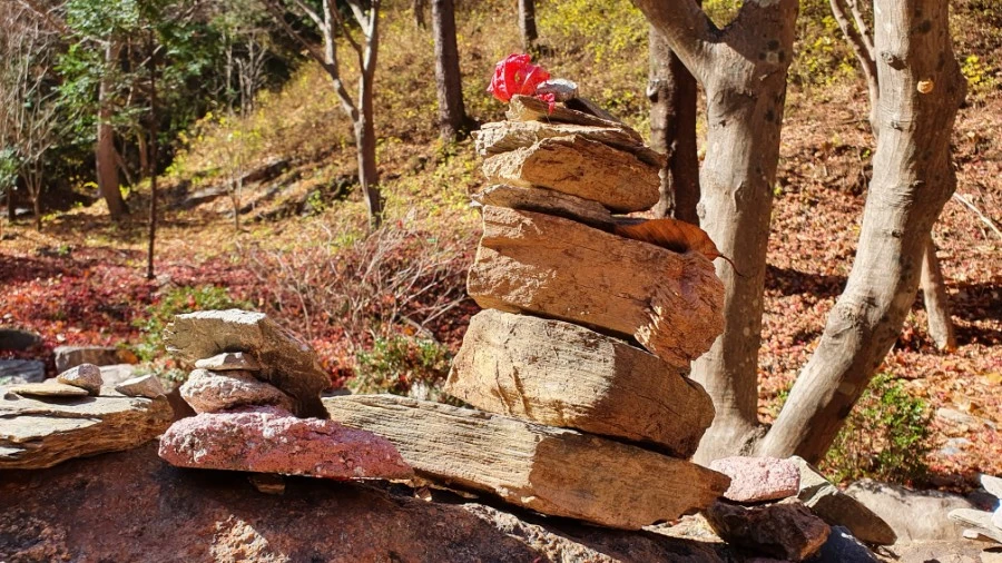 1604840420468%25EF%25BC%258D17.jpg?type=w1