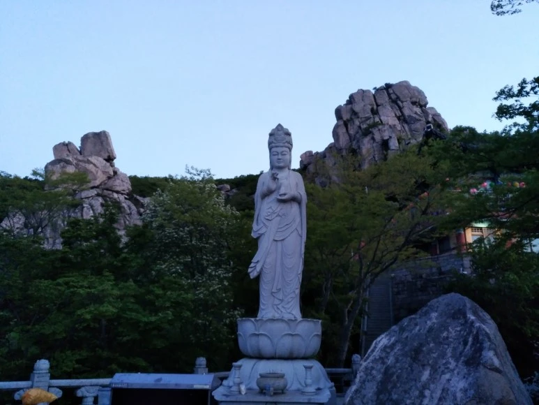 IMG_20180505_052236.jpg?type=w773