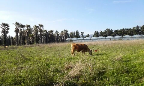 20160417_1702121.jpg?type=w773