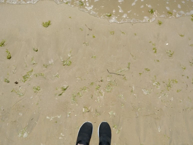 IMG_20180505_114853.jpg?type=w773